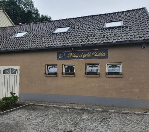 King of Gold Stables appartement met stalling voor 5 paarden