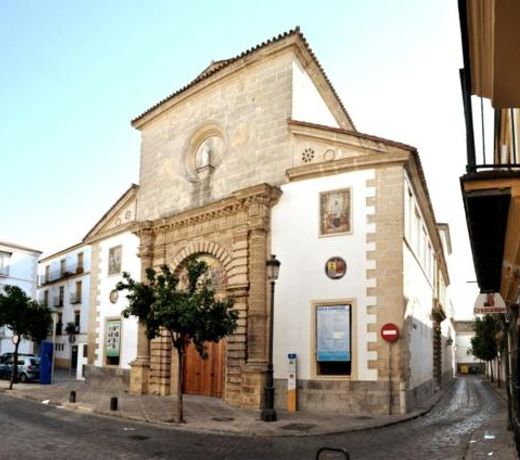 El Rincon de Elena (Garden Apartment)