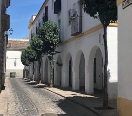 El Rincon de Elena (Garden Apartment)