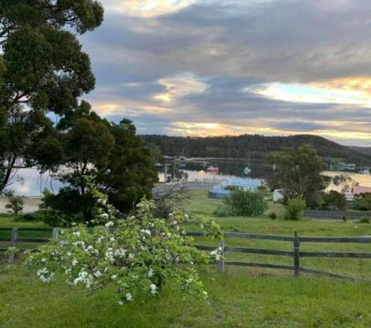 Blossoms on the Bay - Nubeena