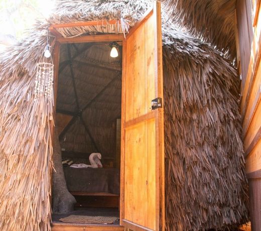 Raiz Kite Cabana