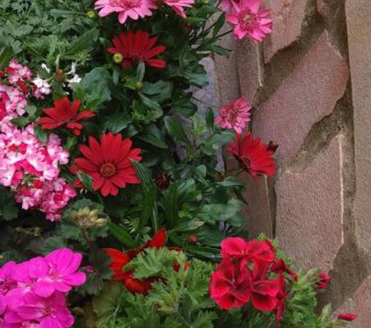 B&b Aloysia