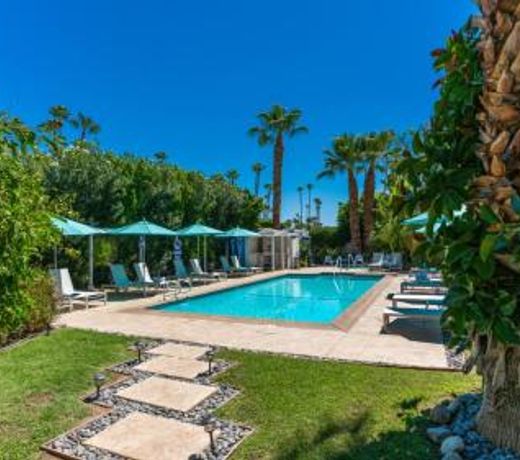 BelleVue Oasis