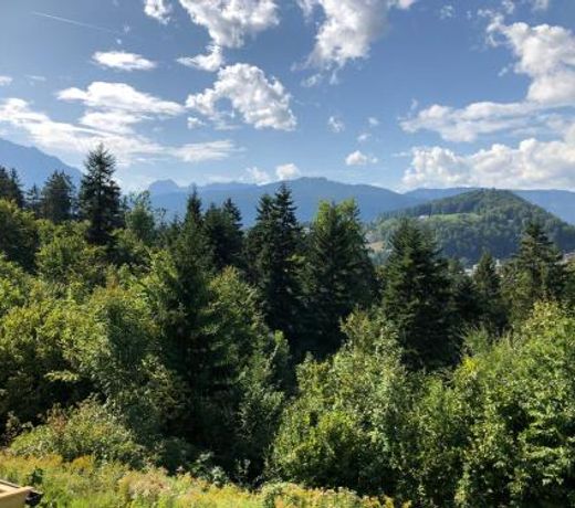 FeWo Waldkauz
