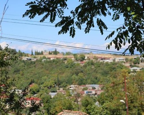 Forest guest house in Sighnaghi - Сигнахи - фото 2