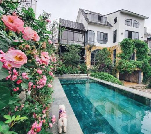 Le vent Homestay Tam Äáº£o