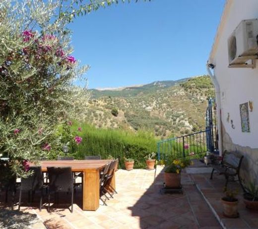 Finca Floretta