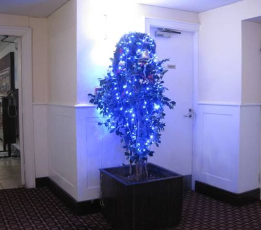 Ashbourne House Hotel