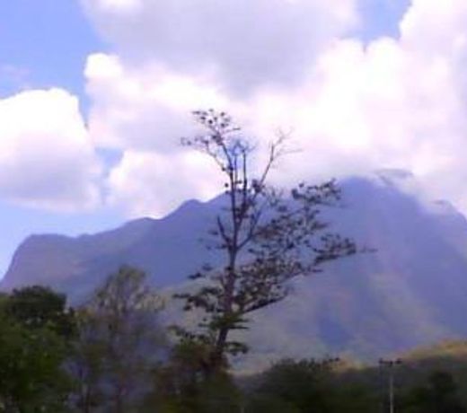 Mondala Resort
