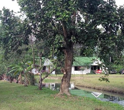 Mondala Resort