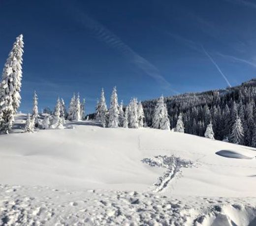 Ferienhaus Alpennest