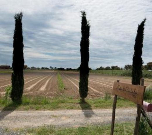 L' Aia di Carinda R.T.A.