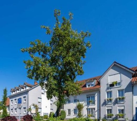 Stadthotel Pfeffermuhle