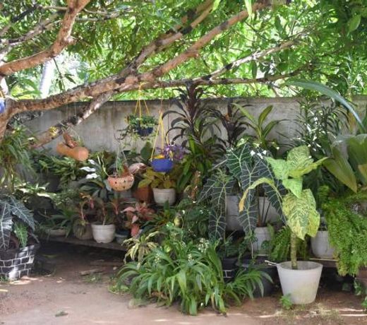 Royal Views Residence