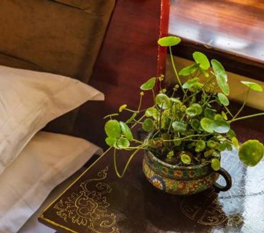 Floral Hotel Lincang Boutique Hotel