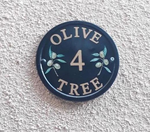 Olive Tree