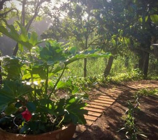 Casa Rural en medio del bosque, El Lance
