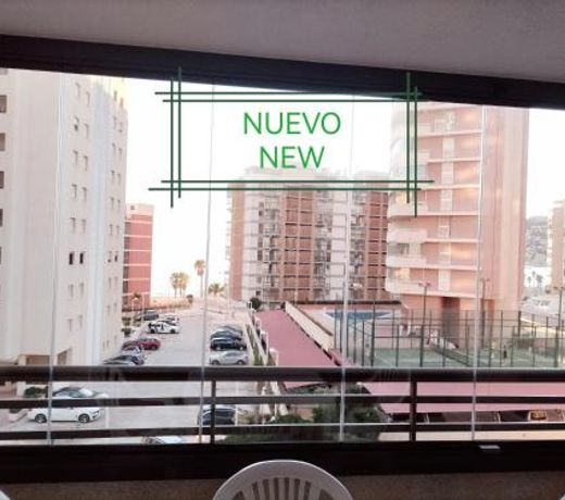 Apartamento "Casa Auri" con Piscina, Wi-fi y Parking Gratis