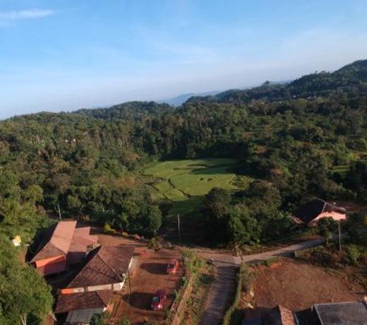 Mandaara homestay Hongadahalla, Sakleshpur