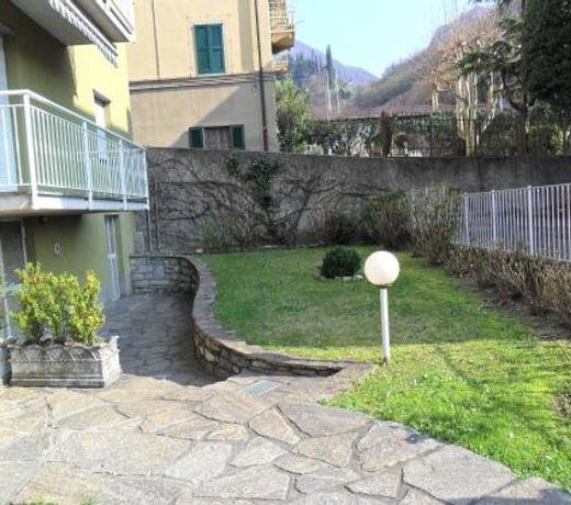 Green House Olivedo