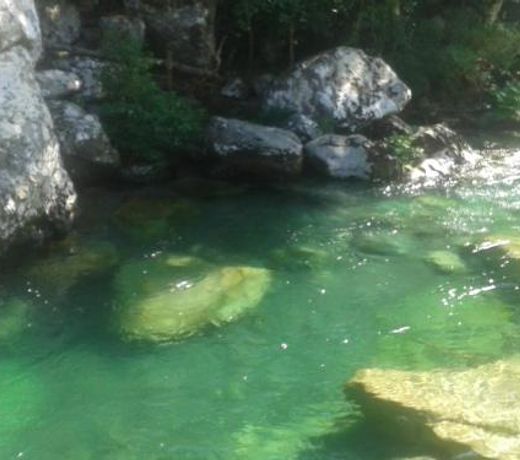 autour du hamac