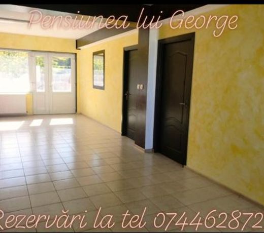 Pensiunea lui George