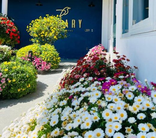 Canary Dalat Hotel