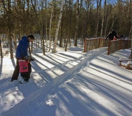 Adirondack Spruce Lodge