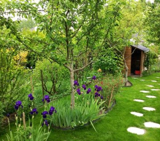 Le Petit Jardin Yoyo