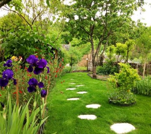 Le Petit Jardin Yoyo