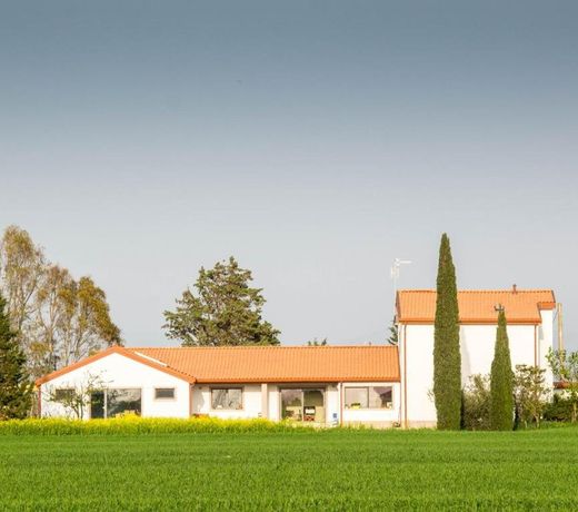 Podere684