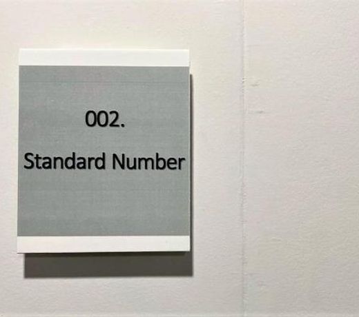 002.Standard Number