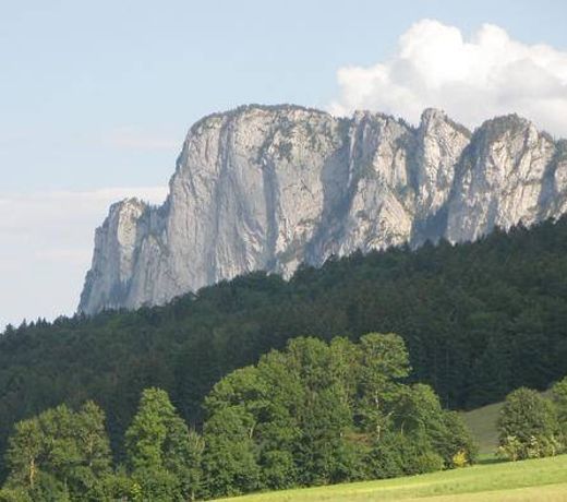 Landgasthof Santner