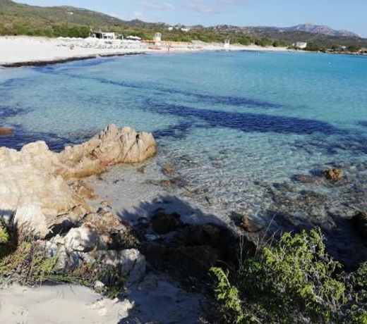 La Sima villa con piscina vista mare San Pantaleo Sardegna