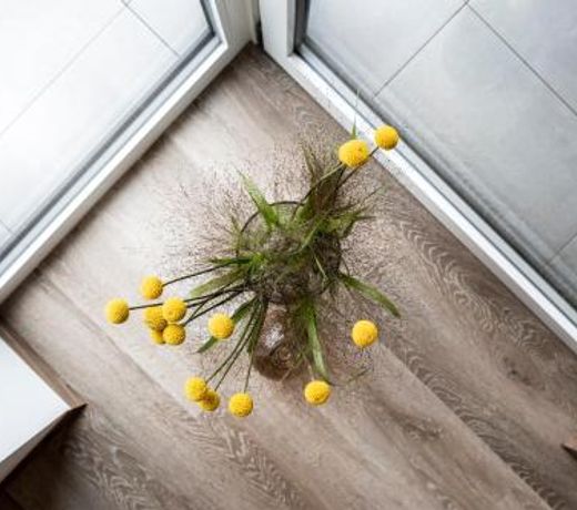 Sambucus Apartments -Premium Apartments for You and Your Dog