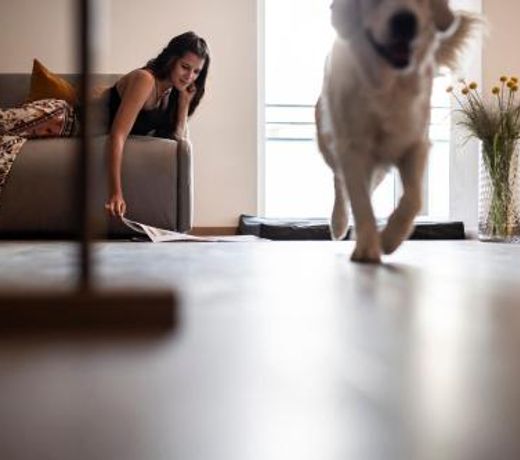Sambucus Apartments -Premium Apartments for You and Your Dog