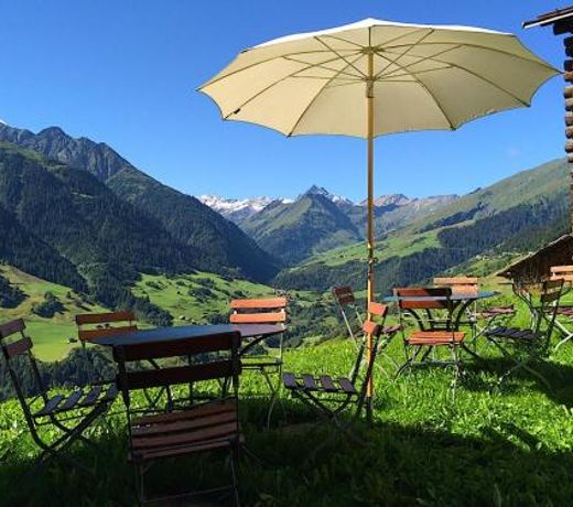 Hotel Alpina