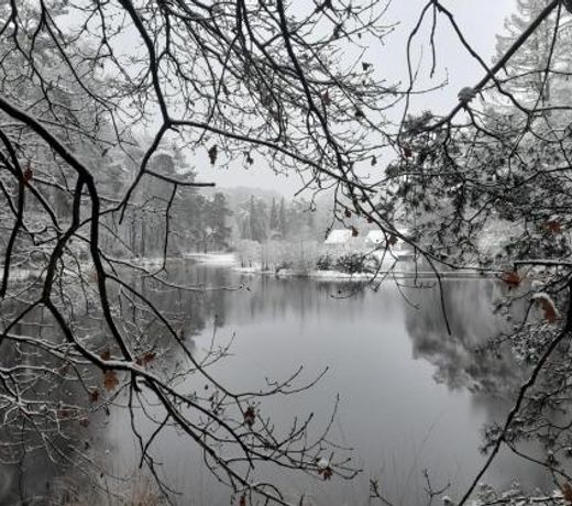 Kromven