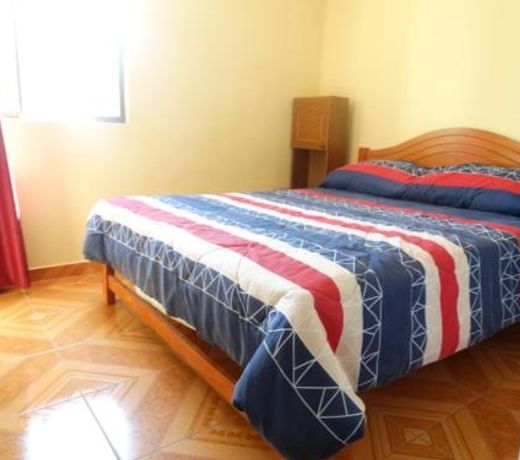 D11-4 Depto diario Arica