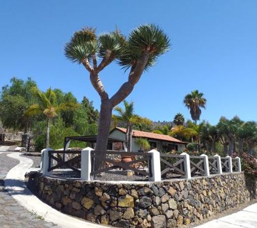 EL PEDRAL