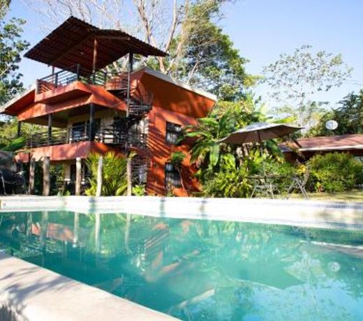 Jungle Lodge at Wild Sun Rescue Center
