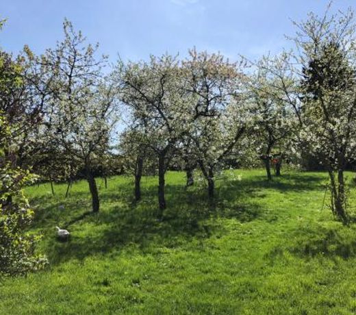 Aux plaisirs de Plessis