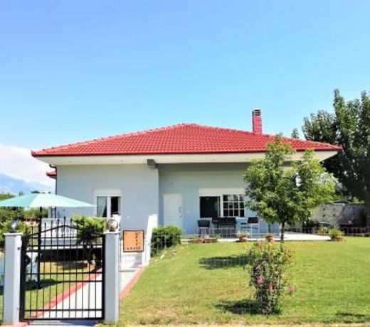 DEPY'S HOUSE