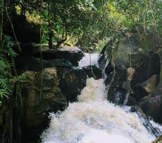 Siderbhan Homestay Chikmagalur
