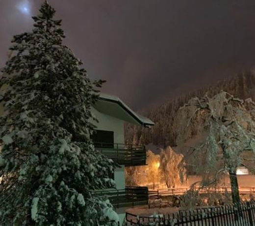 Blue Mountain