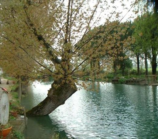 Villa dell antico mulino
