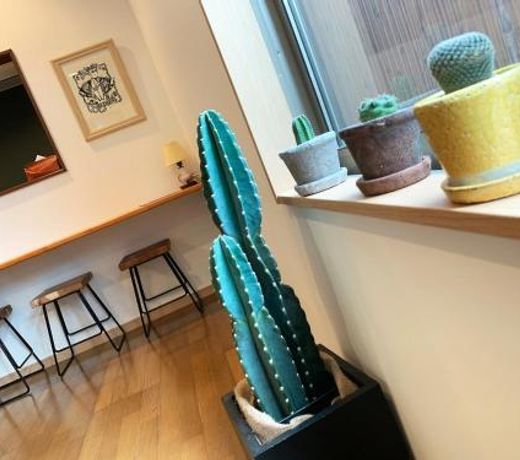 Cactus Inn / Vacation STAY 51551