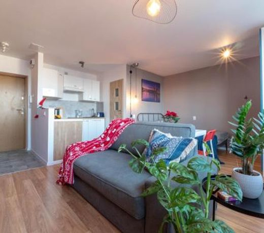 Modern studio in the city center of Wroclaw!