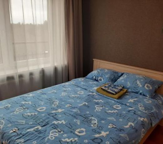 Apartment on Belinskogo 7V