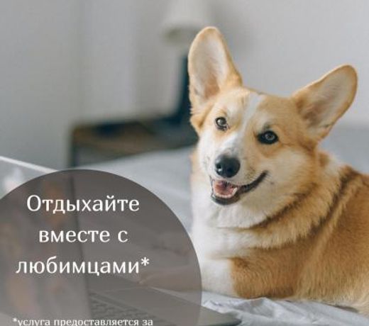 Imeretinskiy Hotel - Premium